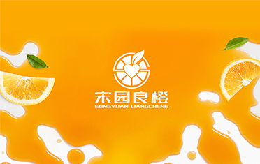 某良橙——鞍山LOGO设计